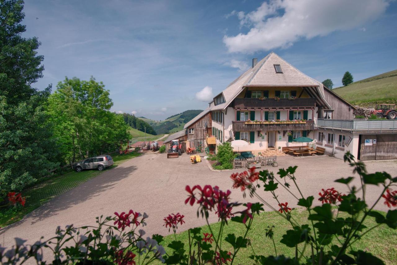 Mittlerer Itzenwaldhof - Heimkehr Apartment มึนสเตอร์ทัล ภายนอก รูปภาพ