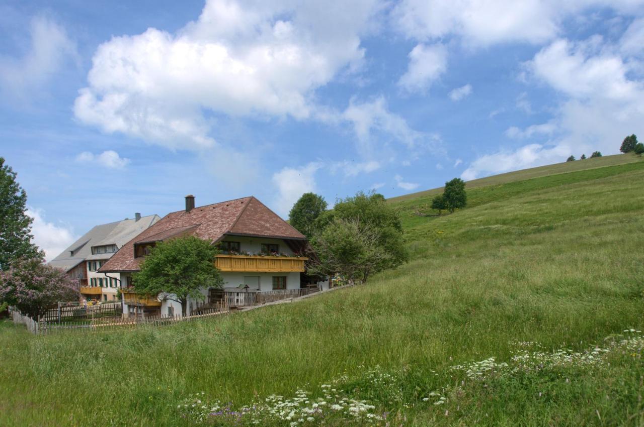 Mittlerer Itzenwaldhof - Heimkehr Apartment มึนสเตอร์ทัล ภายนอก รูปภาพ
